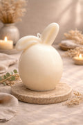 Petit Lapin de Lumière