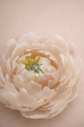 Bougie Pivoine Sculptée – Idéale à Offrir | Collection Fête des Mères