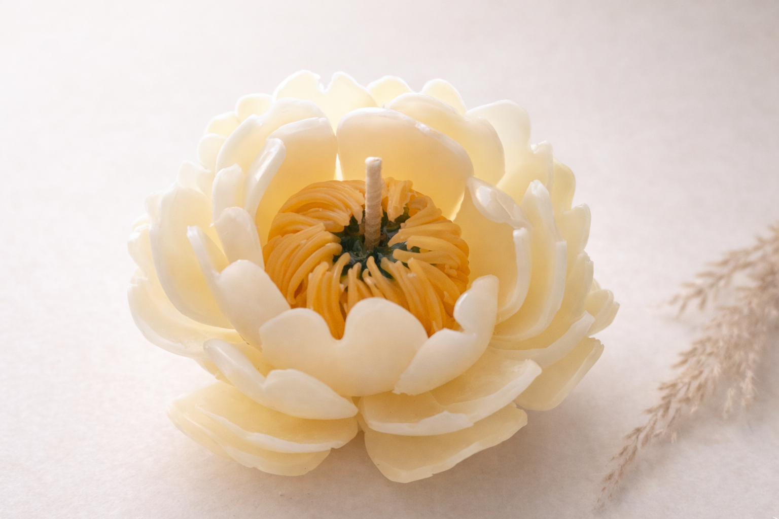 Bougie Sculptée Fleur de Jardin — Pivoine